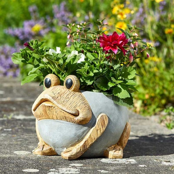 frog planter pots Smart Garden Woodstone Frog Planter – Trowell Garden Centre