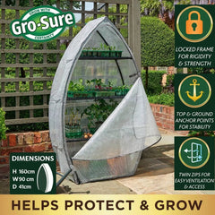 Westland Horticulture Greenhouse Growhouse Westland Gro-Sure Visiroot 12 Tray Growhouse