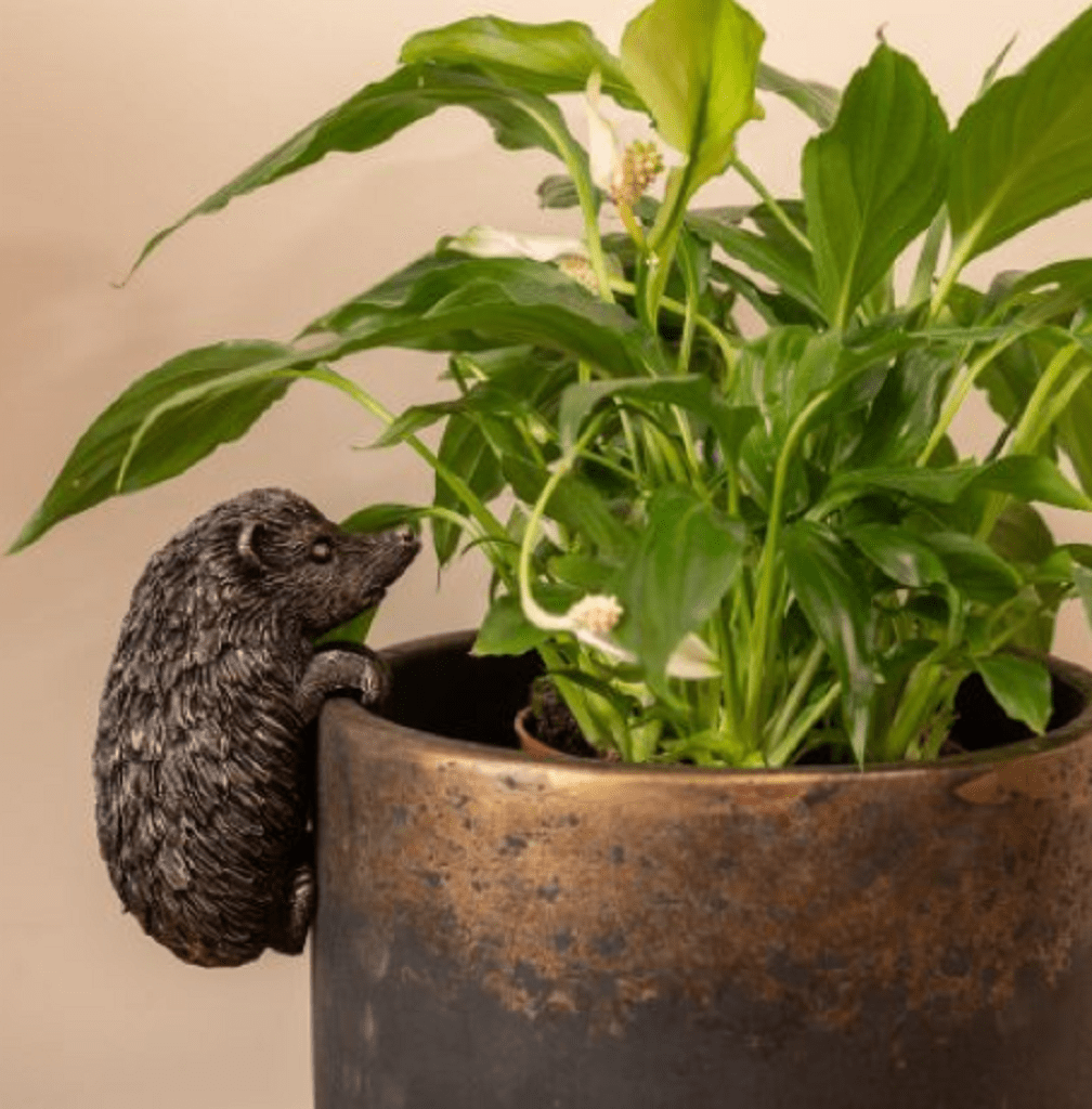 hedgehog plant hanger Jardinopia Hedgehog Pot Buddy Plant Pot Hanger – Trowell Garden Centre