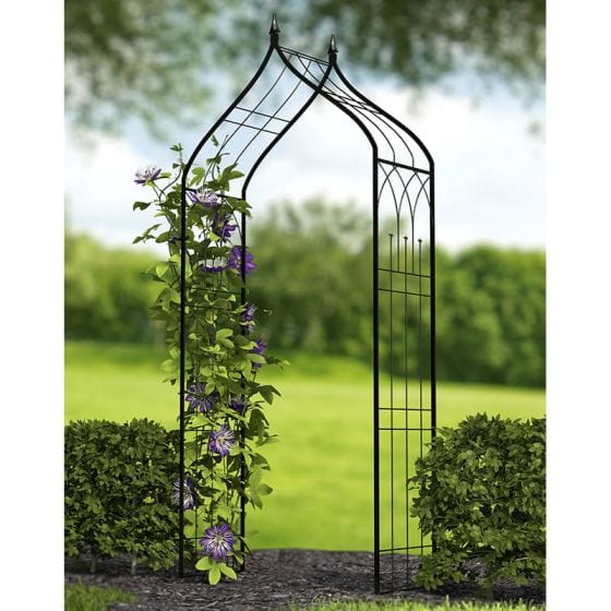 Panacea Ogee Top Garden Arch With Finials – Trowell Garden Centre