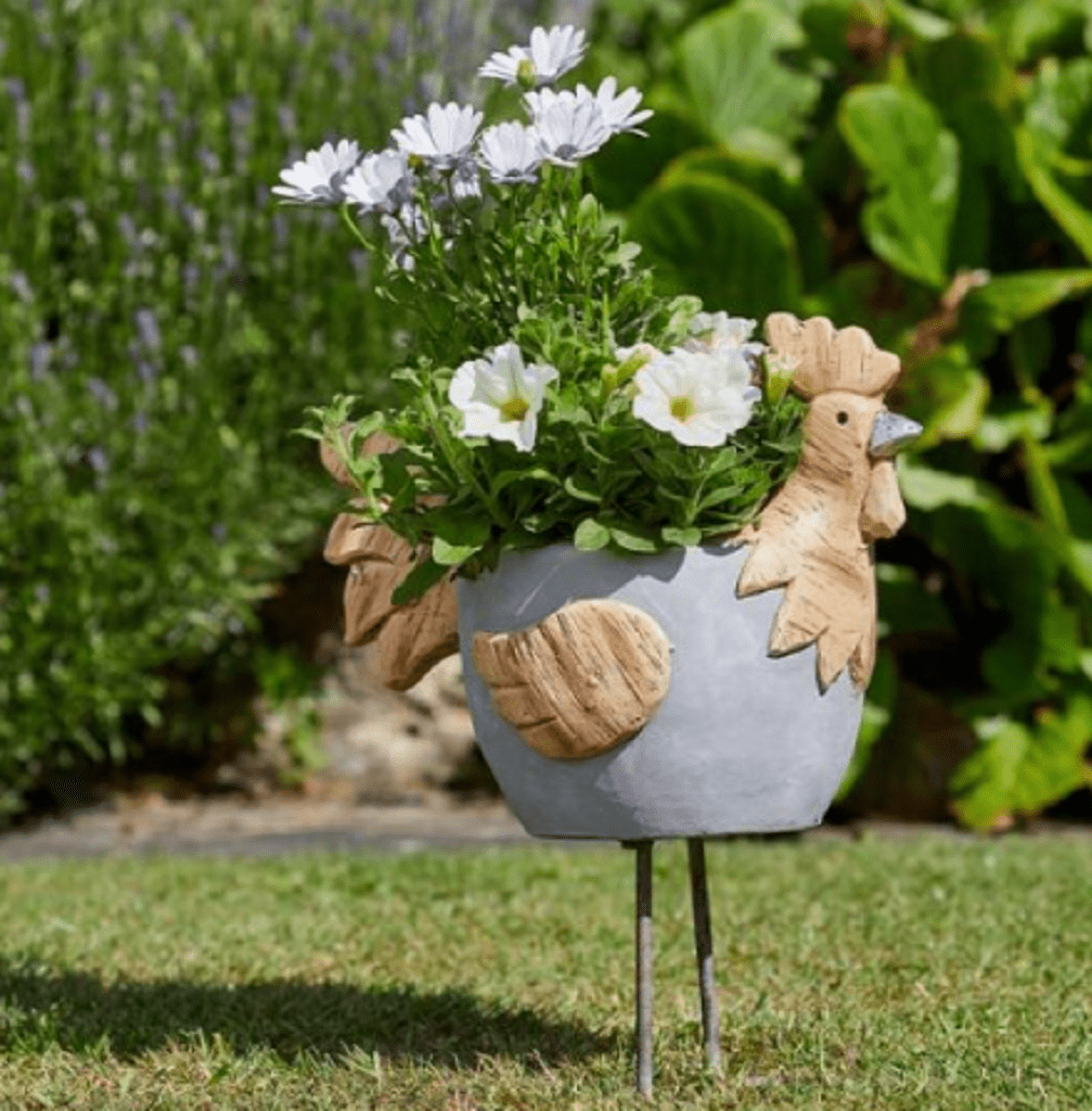 Smart Garden Woodstone Rooster Planter Trowell Garden Centre