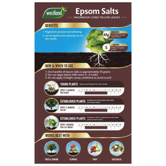 Westland Horticulture Garden Plant Feeds Westland Epsom Salts 1.5kg