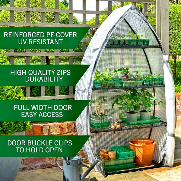Westland GroSure Visiroot 12 Tray Growhouse Trowell Garden Centre