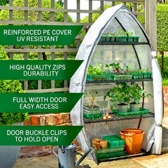 Westland Horticulture Greenhouse Growhouse Westland Gro-Sure Visiroot 12 Tray Growhouse