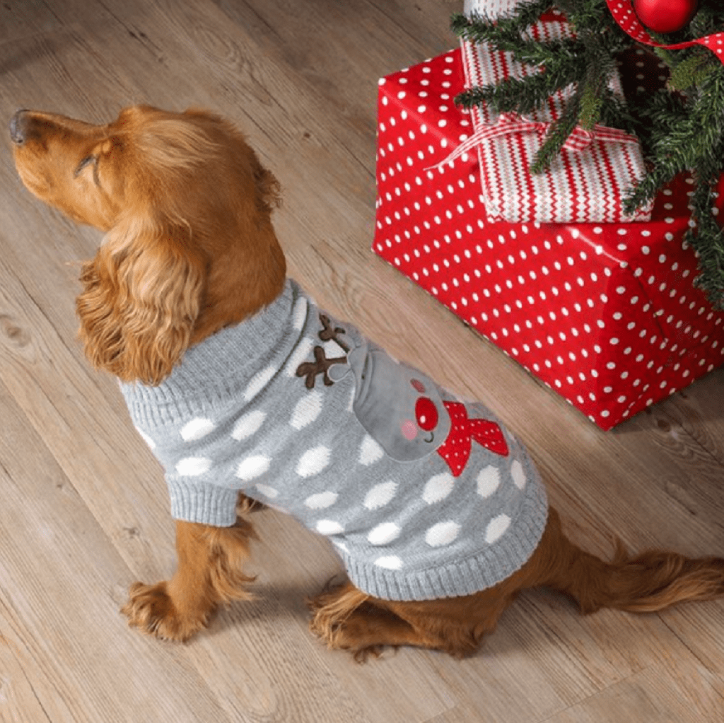 Zoon Polka Rudolph Dog Jumper