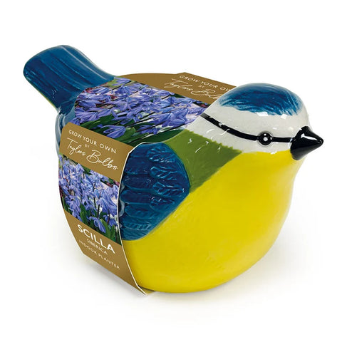 Taylors Bulbs Indoor Blue Tit Planter with Scilla siberica Bulbs – 5pck