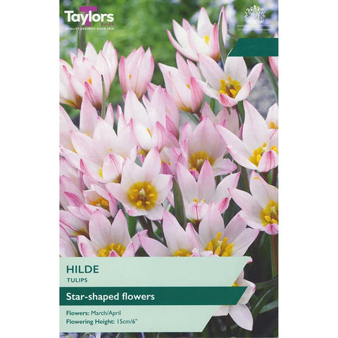 Taylors Bulbs Hilde Tulip Bulbs – 9pck