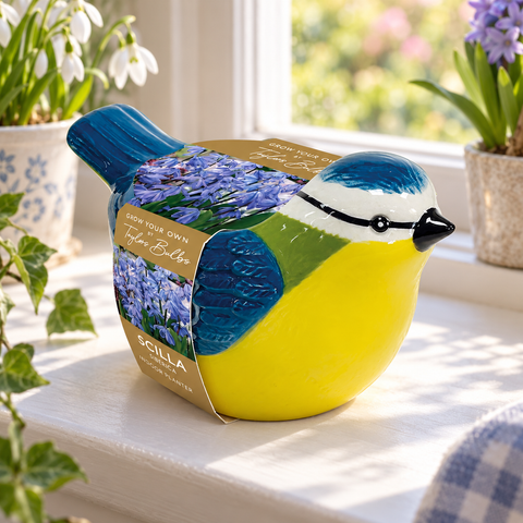 Taylors Bulbs Indoor Blue Tit Planter with Scilla siberica Bulbs – 5pck