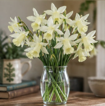 Taylors Bulbs Elka Narcissus Bulbs – 8pck