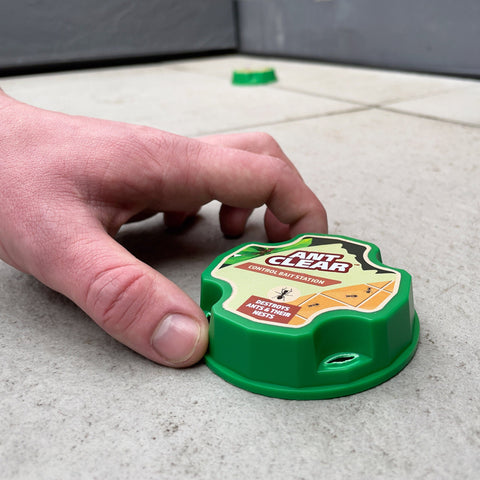 Ant Clear Ant Control AntClear Ant Control Bait Station