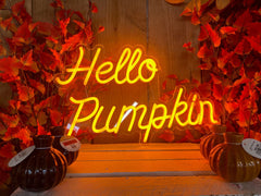 Premier Neon Sign Autumn "Hello Pumpkin" LED Neon Sign 47cm