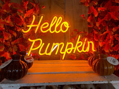 Premier Neon Sign Autumn "Hello Pumpkin" LED Neon Sign 47cm