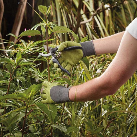 Briers Gardening Gloves Briers Ladies All Seasons Gardening Gloves M8