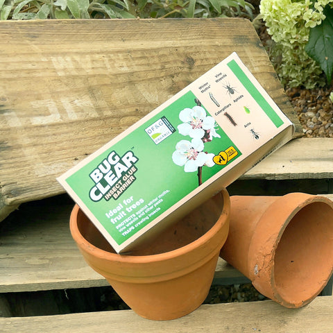 Bug Clear Bug Control Bug Clear Insect Glue Barrier