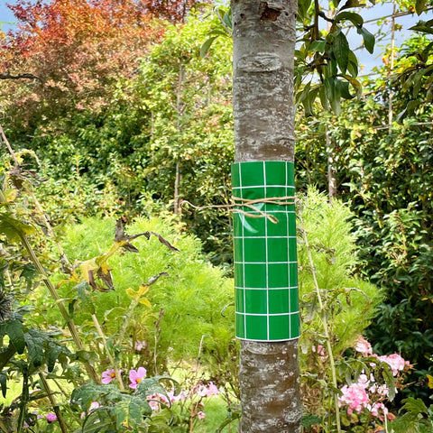 Bug Clear Bug Control Bug Clear Insect Glue Barrier