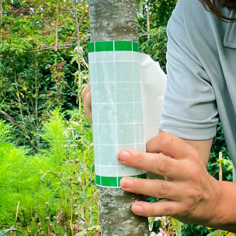 Bug Clear Bug Control Bug Clear Insect Glue Barrier