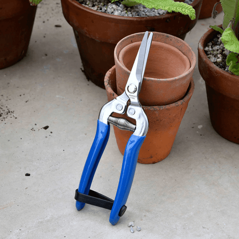 Burgon & Ball - British Meadow Gardening Snip