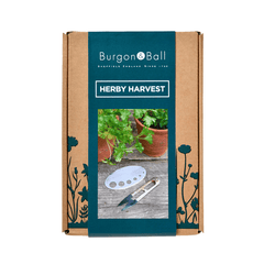 Burgon & Ball Gardening Tools Burgon & Ball Herby Harvest Set