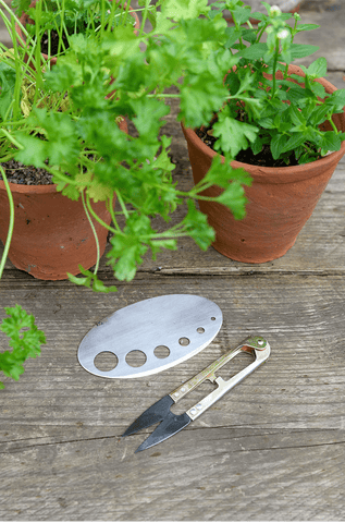 Burgon & Ball Herby Harvest Set