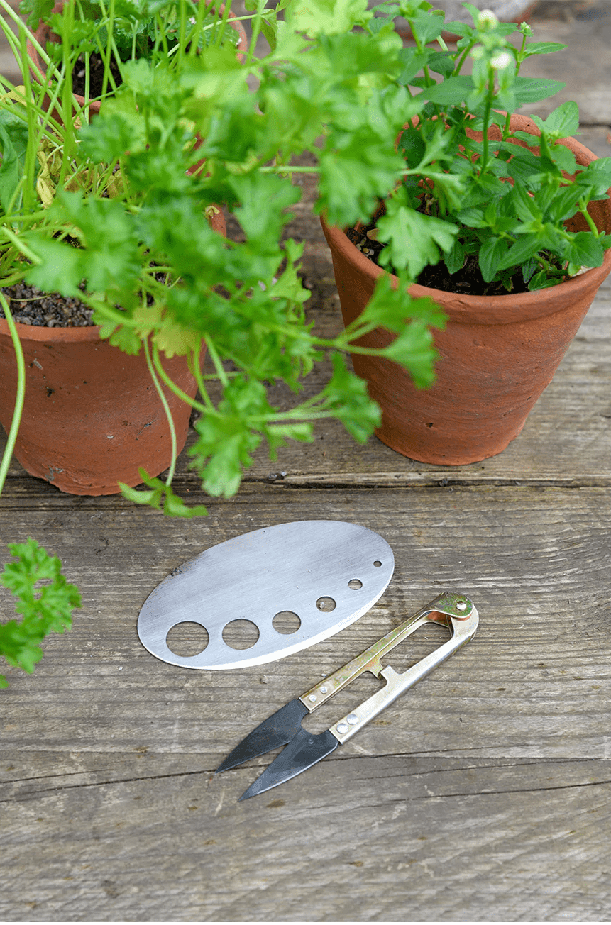 Burgon & Ball Gardening Tools Burgon & Ball Herby Harvest Set