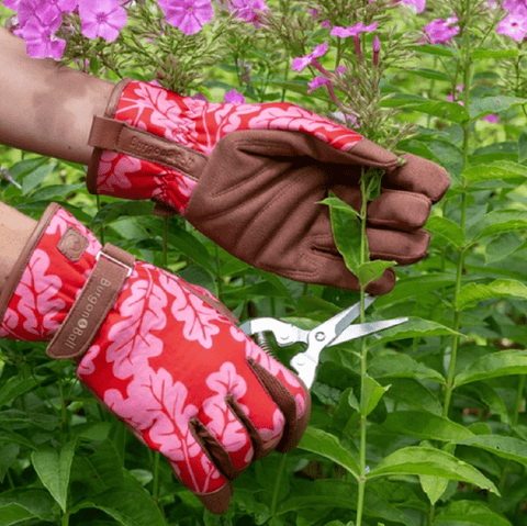 Burgon & Ball Burgon & Ball Oak Leaf Gardening Gloves Poppy - S/M