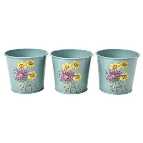 Burgon & Ball RHS Asteraceae Herb Pots