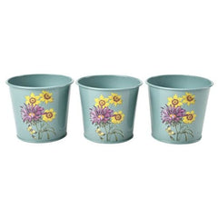 Burgon & Ball Herb Pots Burgon & Ball RHS Asteraceae Herb Pots