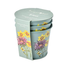 Burgon & Ball Herb Pots Burgon & Ball RHS Asteraceae Herb Pots