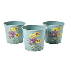 Burgon & Ball Herb Pots Burgon & Ball RHS Asteraceae Herb Pots
