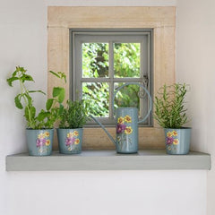 Burgon & Ball Herb Pots Burgon & Ball RHS Asteraceae Herb Pots