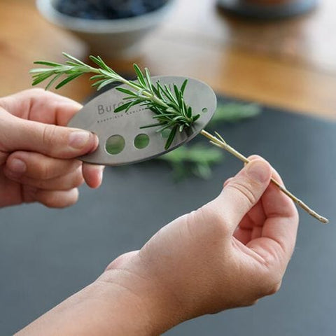 Burgon & Ball RHS Asteraceae Herbset