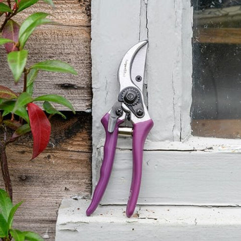 Burgon & Ball Gardening Tools Burgon & Ball RHS Asteraceae Secateurs