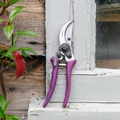 Burgon & Ball Gardening Tools Burgon & Ball RHS Asteraceae Secateurs