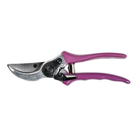 Burgon & Ball Gardening Tools Burgon & Ball RHS Asteraceae Secateurs