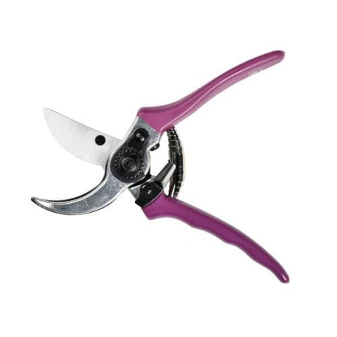Burgon & Ball Gardening Tools Burgon & Ball RHS Asteraceae Secateurs