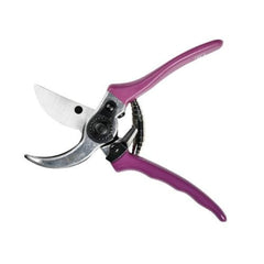 Burgon & Ball Gardening Tools Burgon & Ball RHS Asteraceae Secateurs