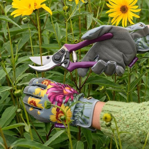 Burgon & Ball Gardening Tools Burgon & Ball RHS Asteraceae Secateurs