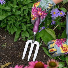 Burgon & Ball RHS Asteraceae Trowel & Fork Gift Set