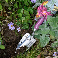 Burgon & Ball RHS Asteraceae Trowel & Fork Gift Set