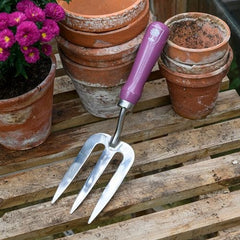 Burgon & Ball RHS Asteraceae Trowel & Fork Gift Set