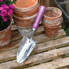 Burgon & Ball RHS Asteraceae Trowel & Fork Gift Set