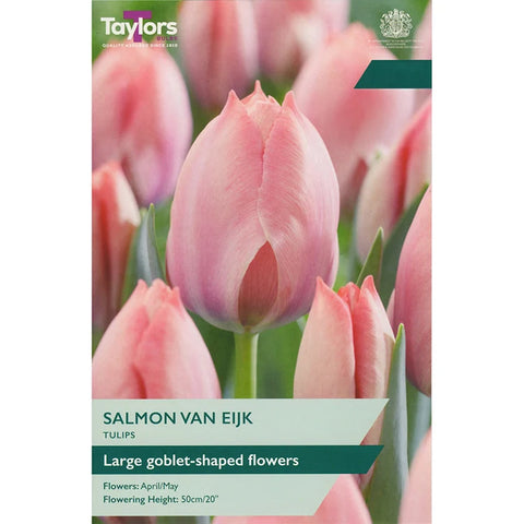 Taylors Bulbs Garden Salmon Van Eijk Tulip Bulbs – 7pck