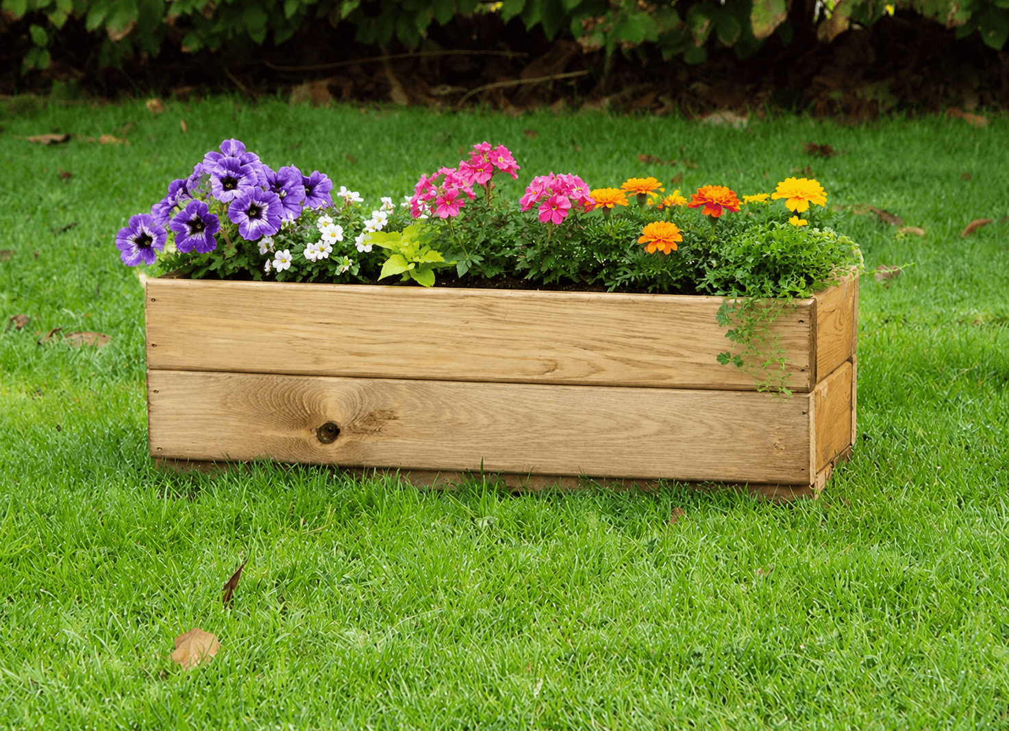 Charles Taylor HB102- Large Window Box Planter – Trowell Garden Centre