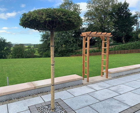 Charles Taylor HB199 - Devonshire Grand Arch