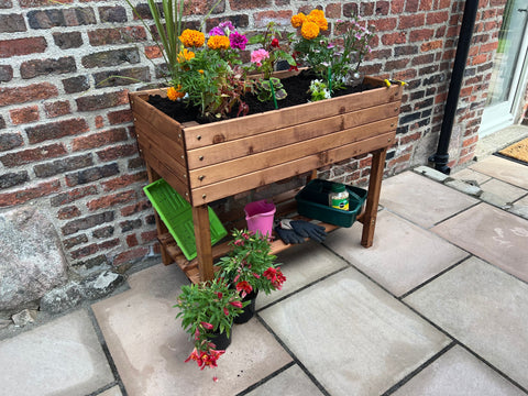 Charles Taylor HB278 - The Peakes Large Veg Planter