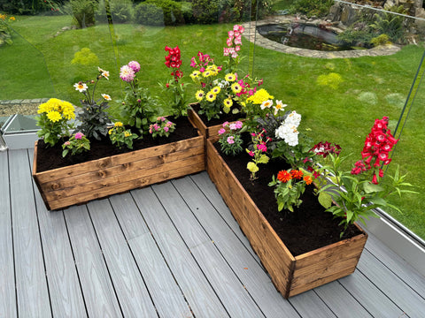 Charles Taylor HB292 - Berwick Corner Planter Set