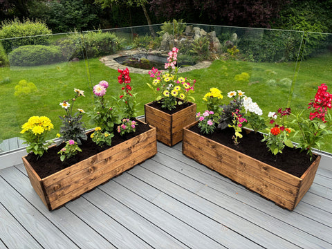 Charles Taylor HB292 - Berwick Corner Planter Set