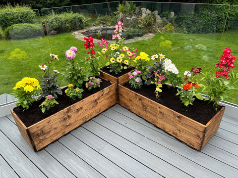 Charles Taylor HB292 - Berwick Corner Planter Set