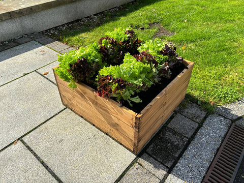 Charles Taylor HB314 - Country Kitchen Large Raised Bed