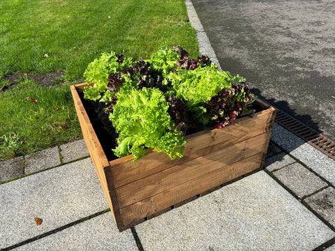 Charles Taylor HB314 - Country Kitchen Large Raised Bed